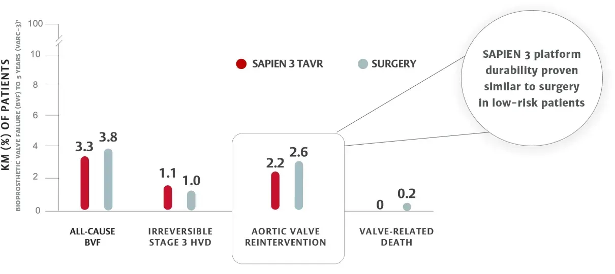 Image of chart showing durability of SAPIEN 3 TAVR compared to surgery